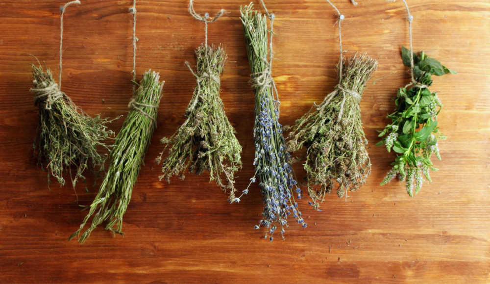 herbes de fertilité