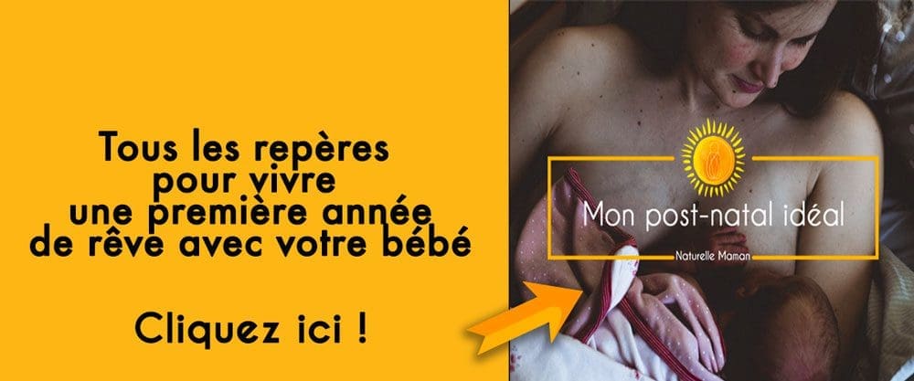 Programme pour un post-natal idéal : tous les conseils pour bien vivre le post-partum, l'allaitement et la première année de bébé