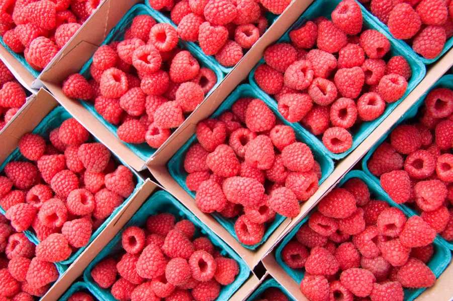 bienfaits de la framboise pour votre fertilité