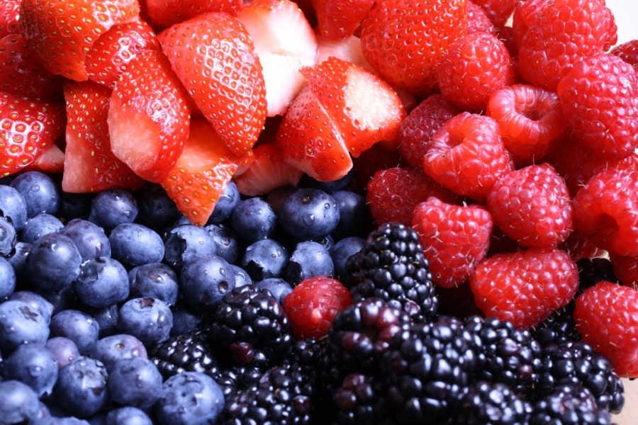 les fruits rouges sont bons pour le cerveau pendant la grossesse