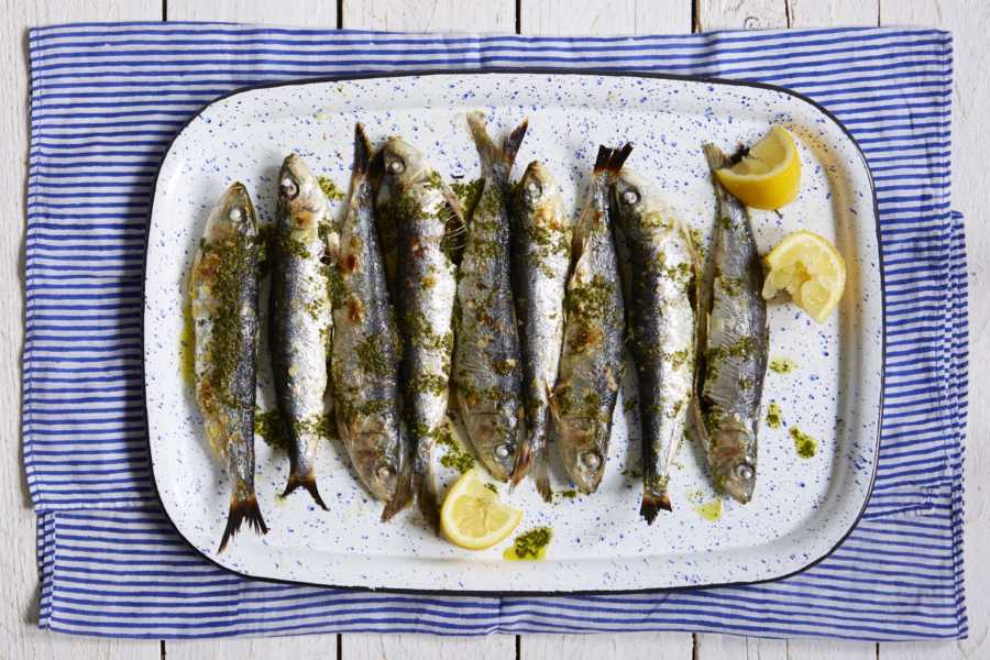petits poissons gras oméga 3 grossesse
