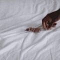 remèdes pour récupérer après une fausse-couche
