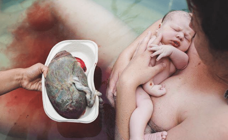 Les 7 fonctions étonnantes du placenta : dàcouvrez tout ce que cet organe incroyable accomplit pendant neuf mois dans cet article de Naturelle Maman