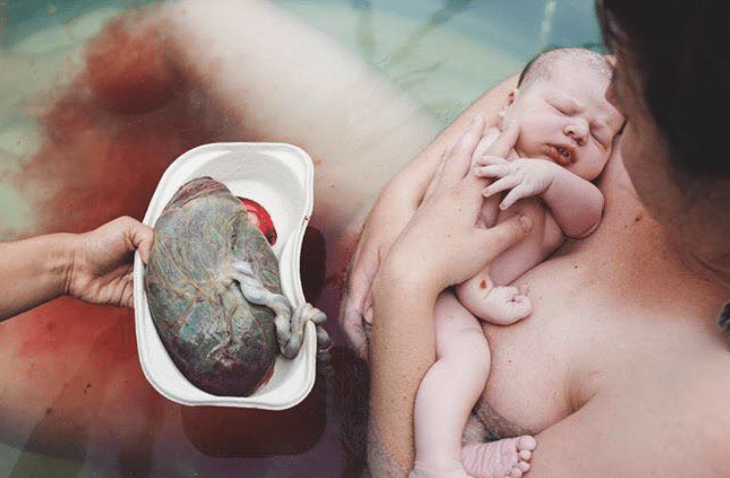 Les 7 fonctions étonnantes du placenta : dàcouvrez tout ce que cet organe incroyable accomplit pendant neuf mois dans cet article de Naturelle Maman