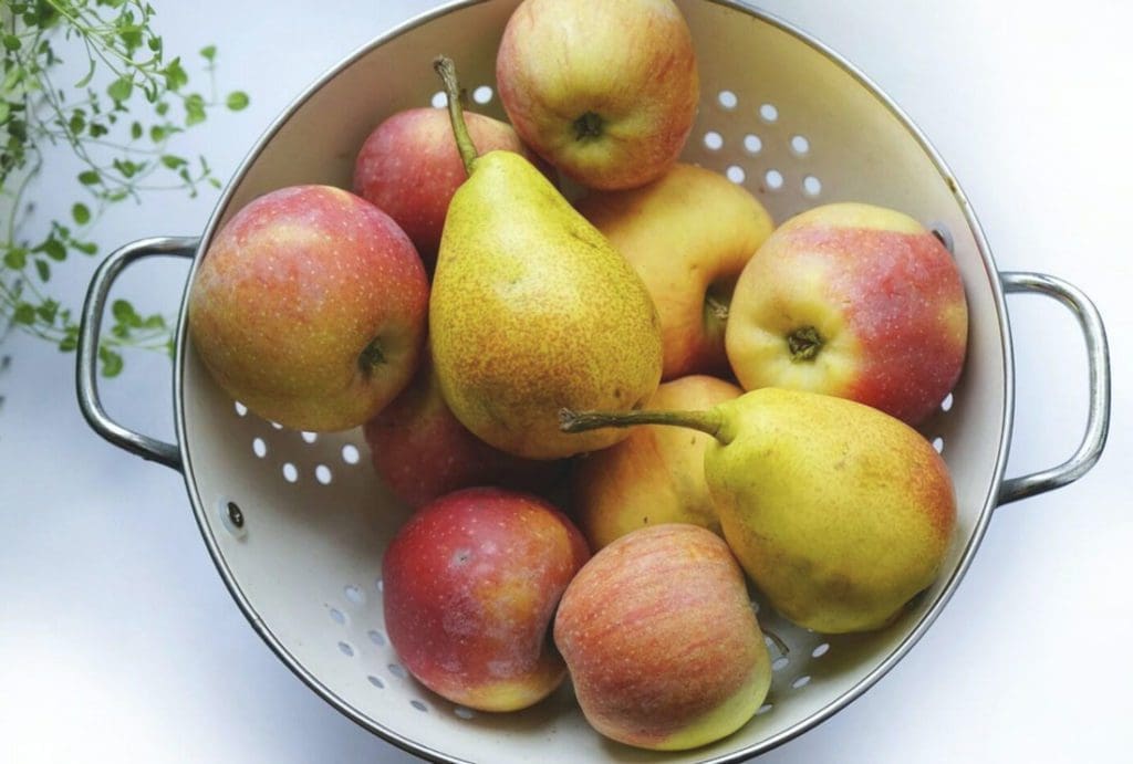meilleurs aliments post-partum