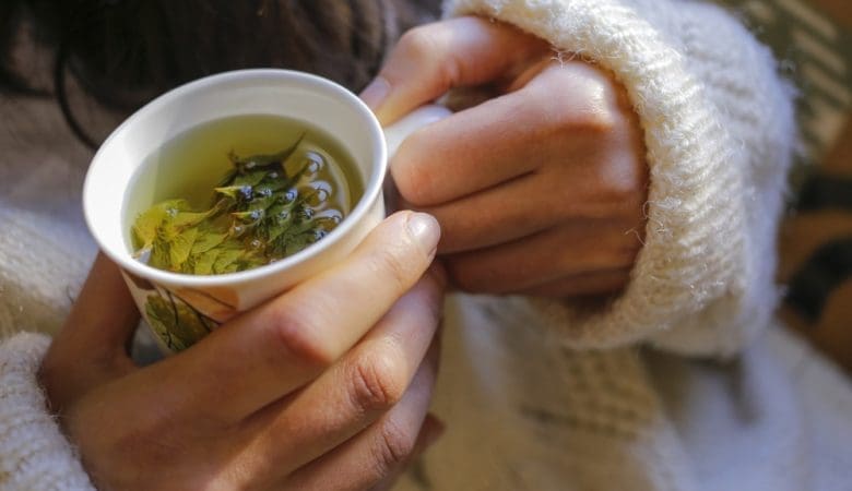 infusion d'alchémille pour réguler les cycles