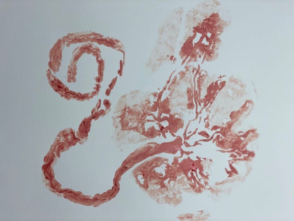 Un exemple d'empreinte placentaire sur papier qui peut être réalisée à la maternité - Naturelle Maman