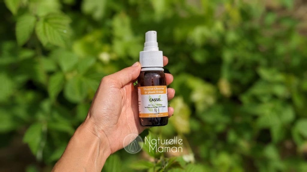 Macérat de bourgeons de cassis en gemmothérapie - naturelle Maman