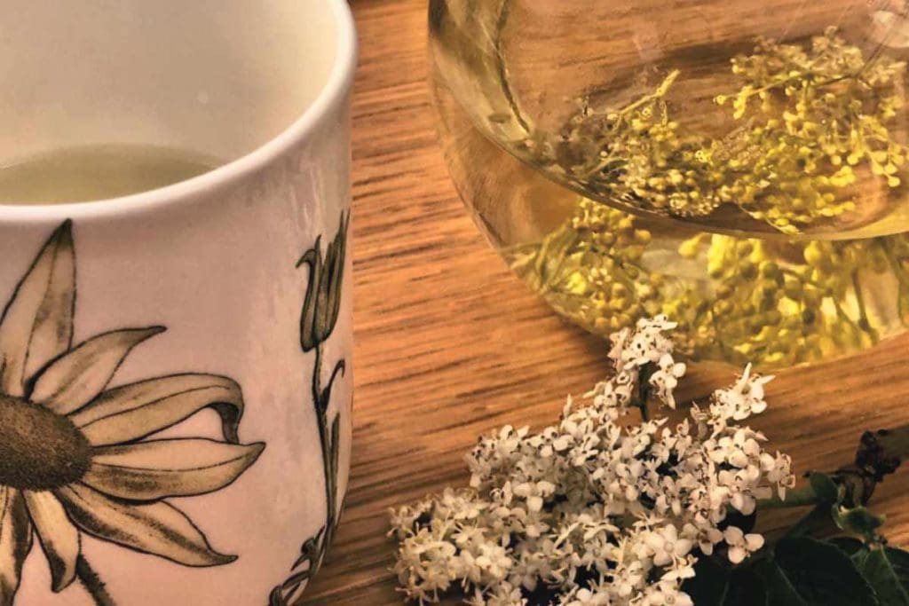 Les bienfaits de l'infusion de fleurs de sureau - Naturelle Maman