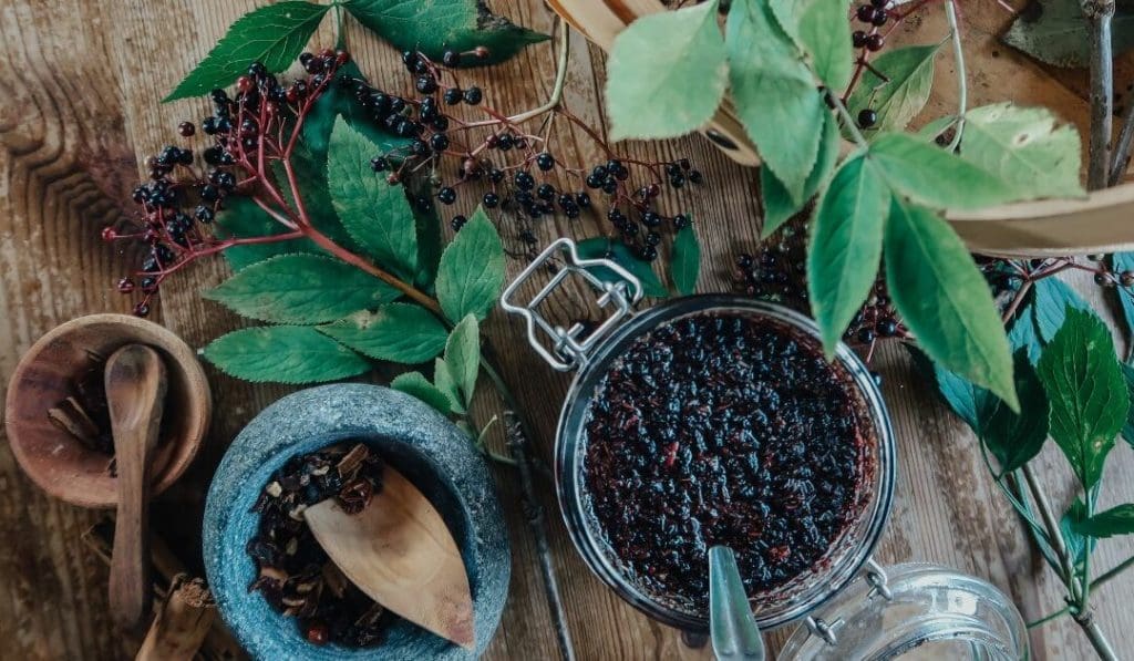 Infusions de thym et de sureau noir pour soigner les enfants pendant l'hiver - Naturelle Maman