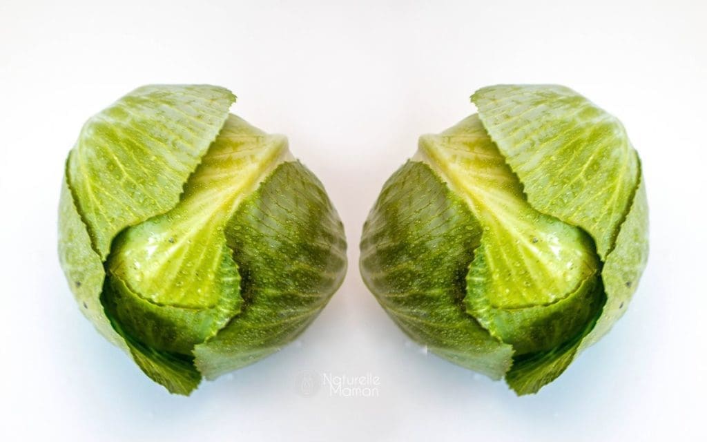 Soulager l’engorgement mammaire naturellement avec les feuilles de chou