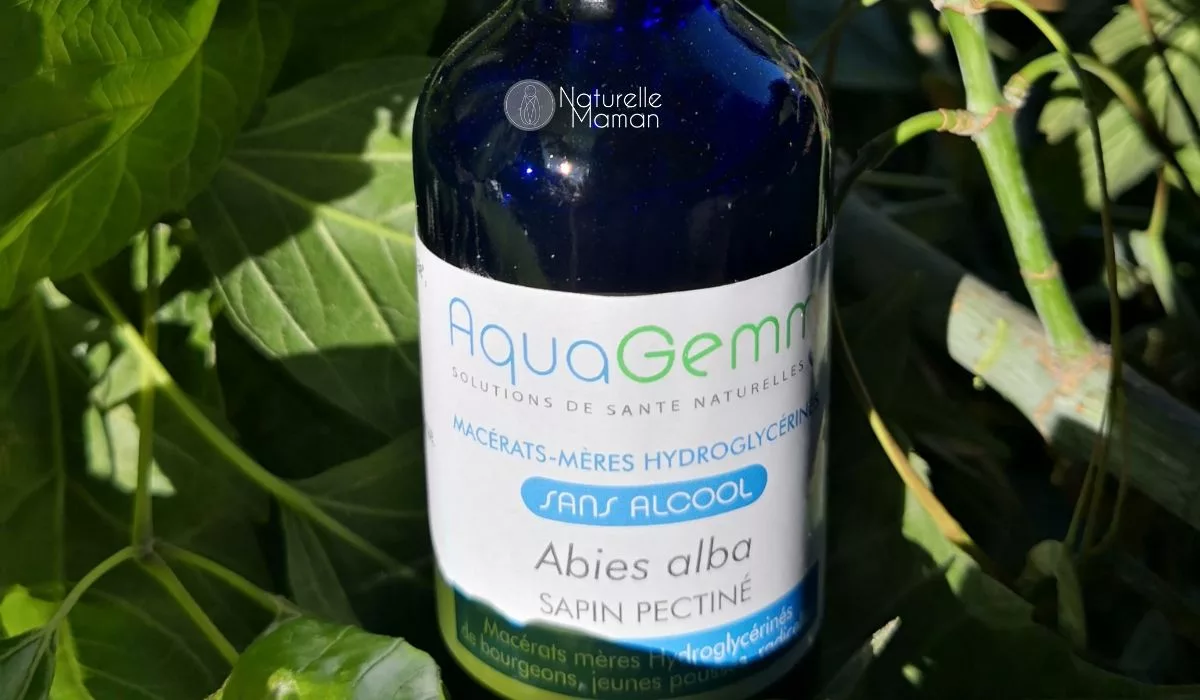 Le bourgeon de sapin pectiné en gemmothérapie peut soutenir la croissance des enfants - Naturelle maman